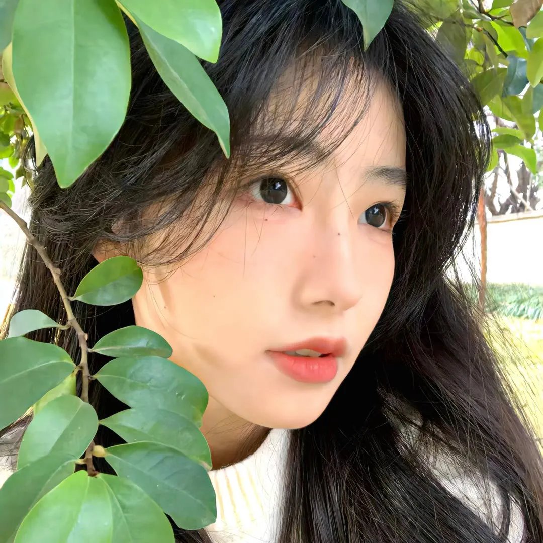 黑暗中的回声